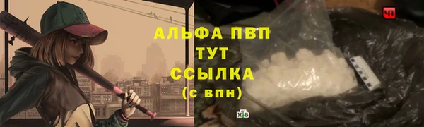 ECSTASY Белая Холуница