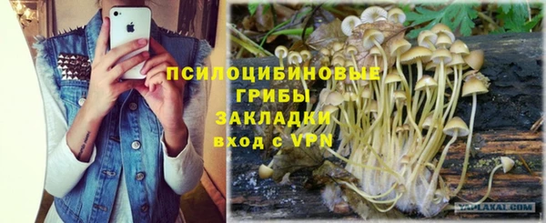 ALPHA-PVP Бежецк