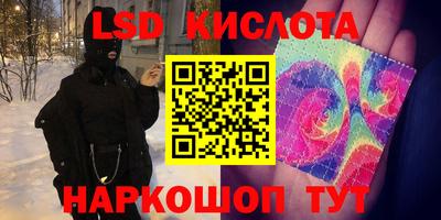 эйфоретик Берёзовский