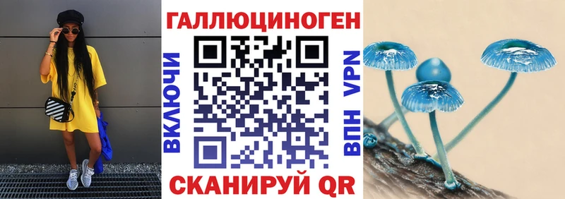 Галлюциногенные грибы Magic Shrooms Дмитров