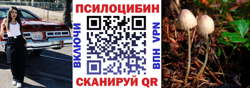 Галлюциногенные грибы Magic Shrooms  МЕГА рабочий сайт  Дмитров  купить  